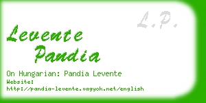levente pandia business card